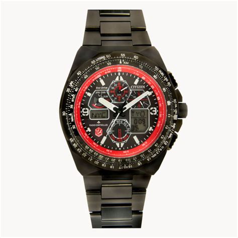 Citizen Skyhawk Snowbirds Watch .